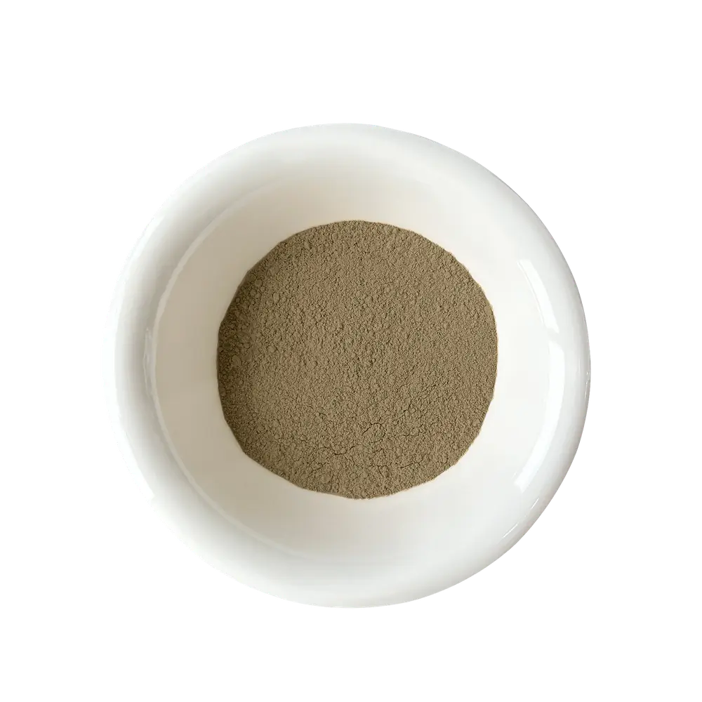 Bacopa Monnieri Extract