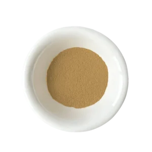 Xanthium strumarium Extract