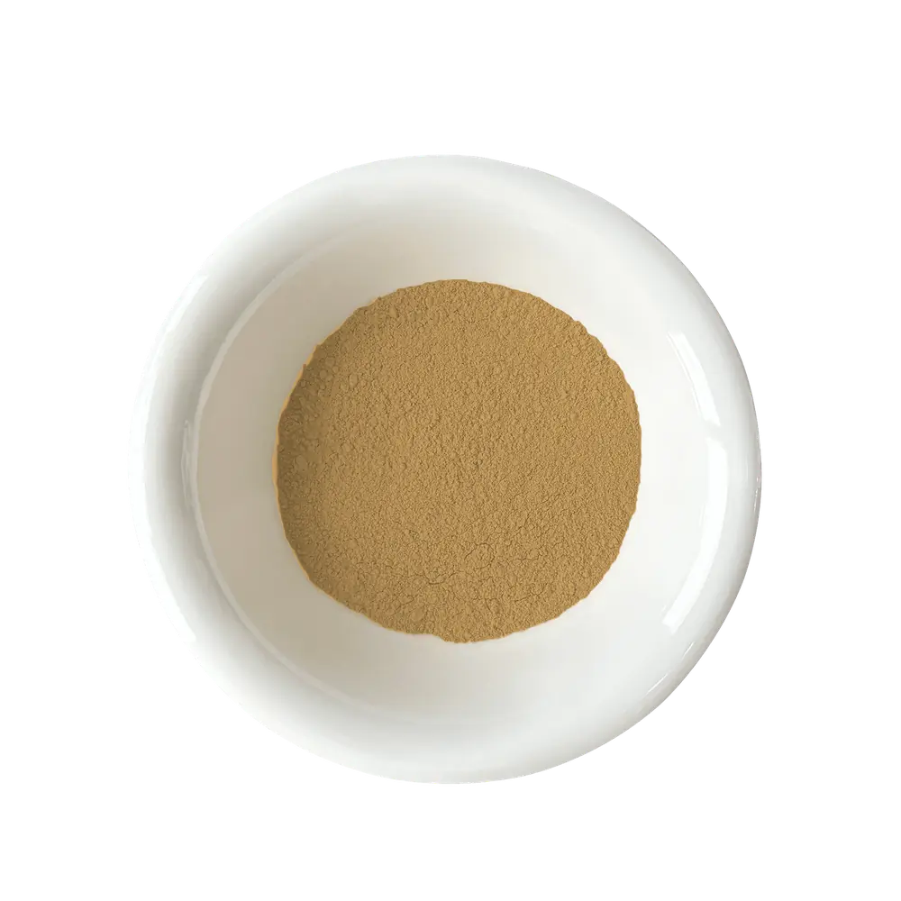 Xanthium strumarium Extract